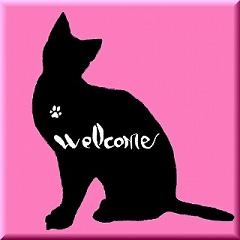 高知のタロット占い師、風花の看板に書かれている猫